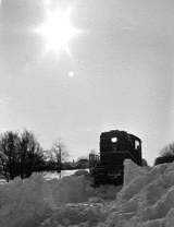 Blizzard of 1982